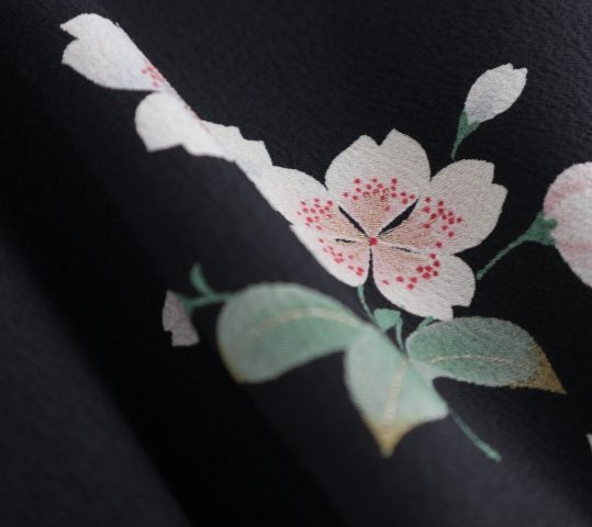 卒業式袴レンタルNo.480[シンプル]黒・白桜